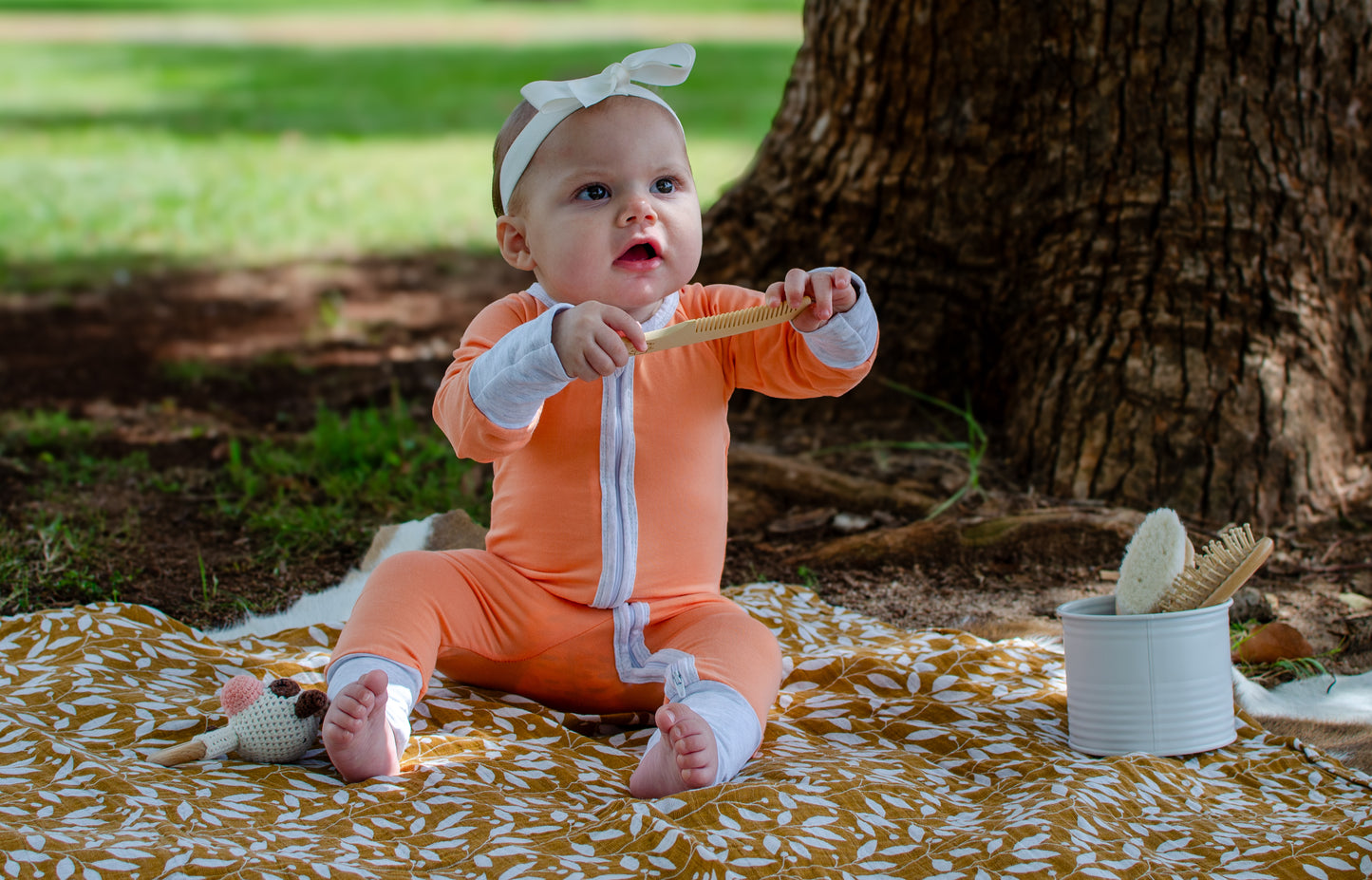 Natural wooden hair brush and comb set