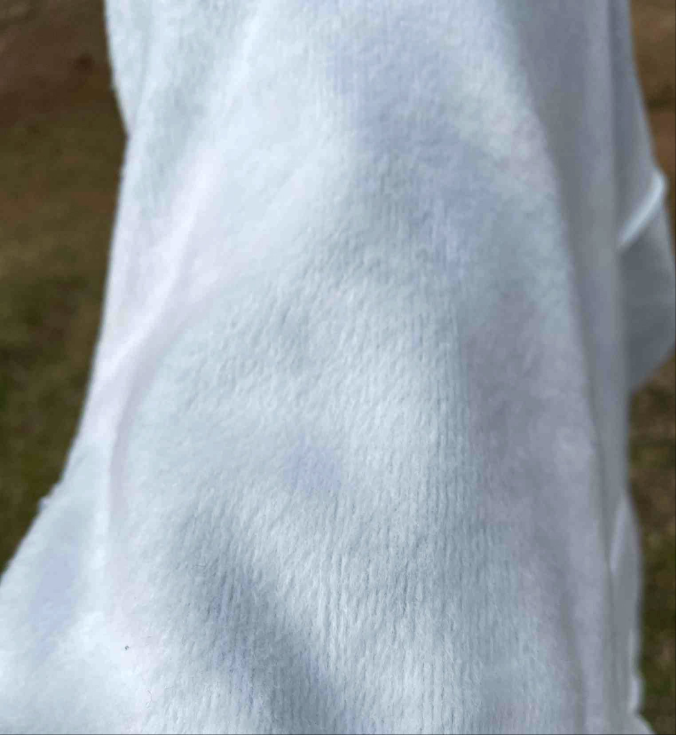 Pony Jumpers